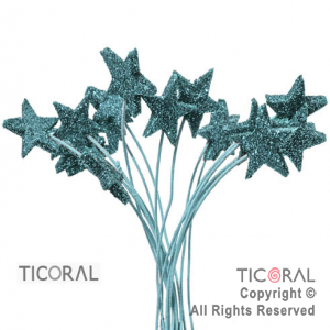 MICROFORMA ESTRELLA TURQUESA GIBRE TELGO x 18